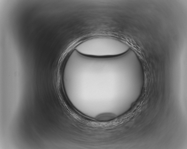 X0000115290005200911091001