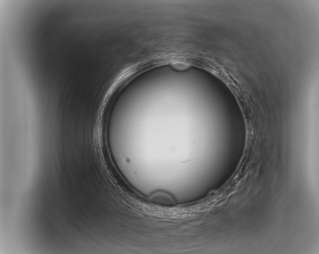 X0000115290006200911091001