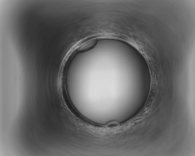 X0000115290007200911091001