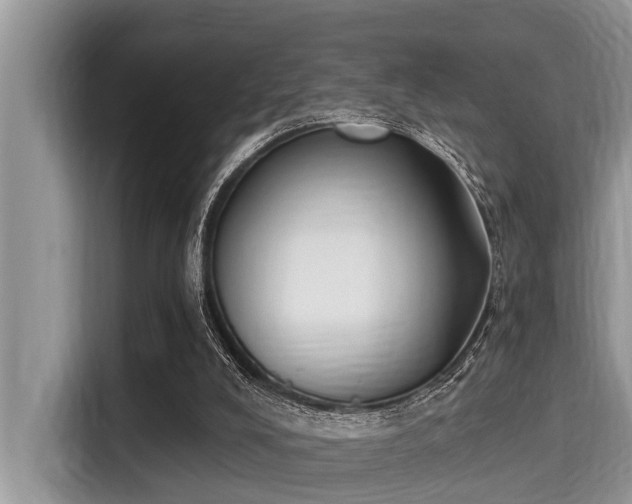 X0000115290008200911091001