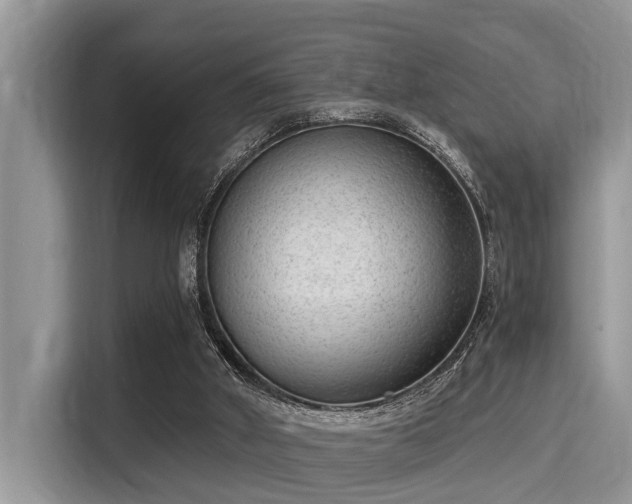 X0000115290010200911091001