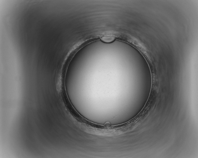 X0000115290012200911091001