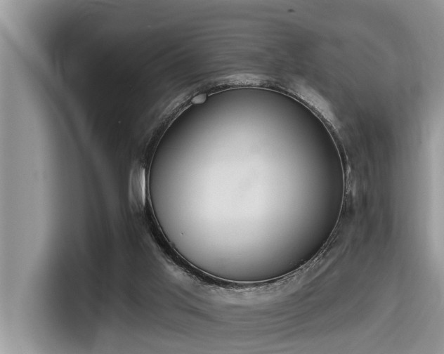 X0000115290013200911091001