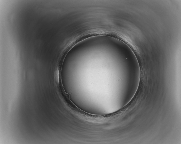 X0000115290014200911091001