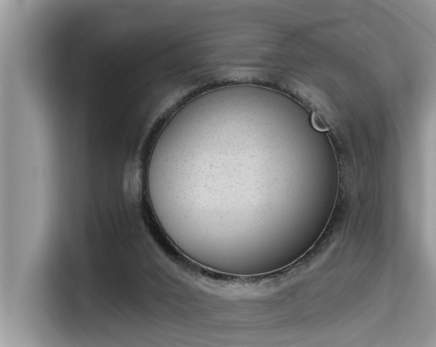 X0000115290016200911091001