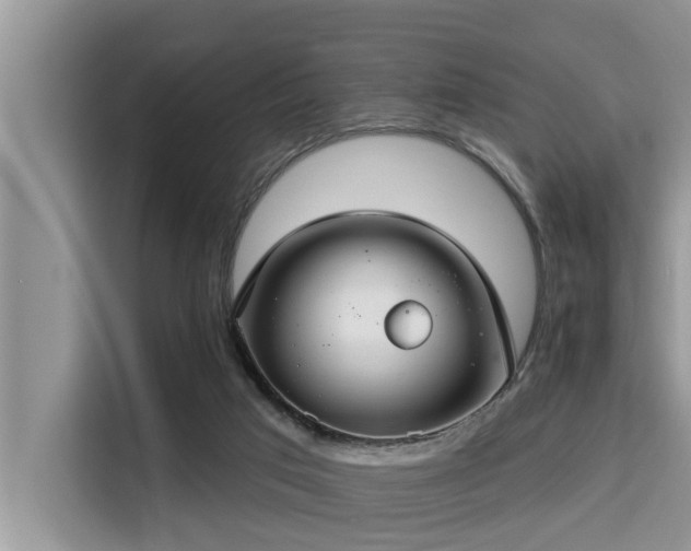 X0000115290017200911091001