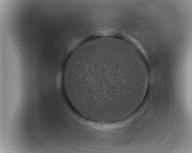 X0000115290018200911091001