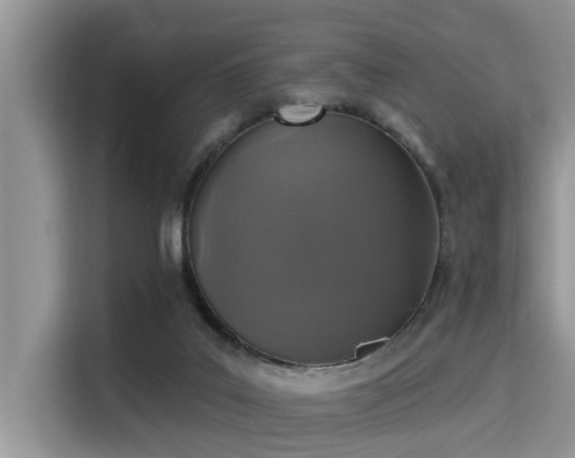 X0000115290019200911091001