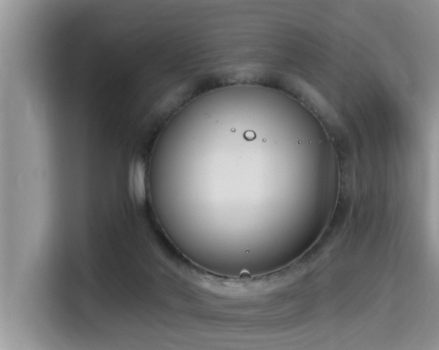 X0000115290022200911091001