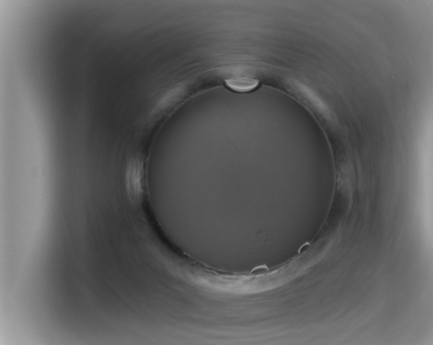 X0000115290023200911091001