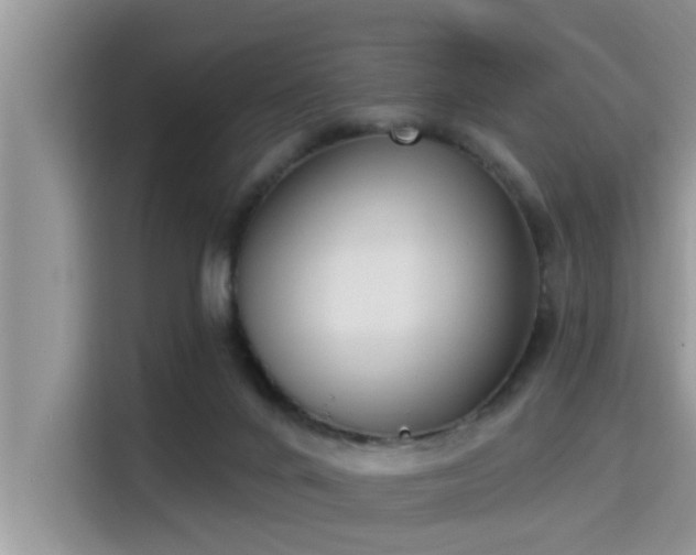 X0000115290024200911091001
