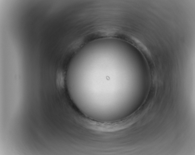 X0000115290026200911091001
