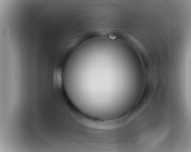 X0000115290028200911091001