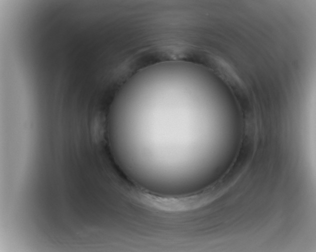 X0000115290030200911091001