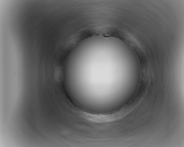 X0000115290034200911091001
