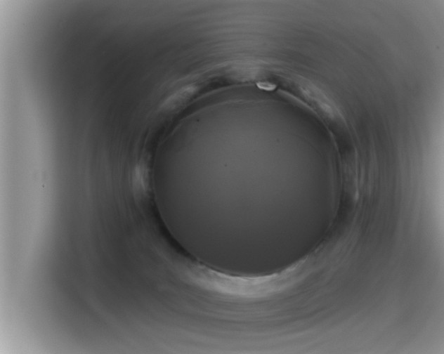 X0000115290035200911091001