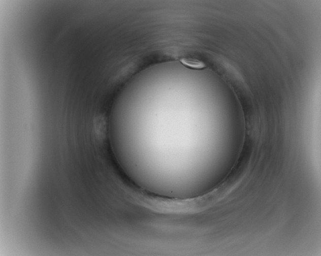 X0000115290036200911091001