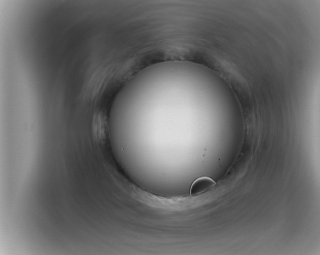 X0000115290038200911091001