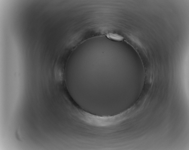 X0000115290039200911091001