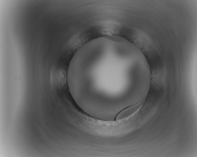 X0000115290043200911091001