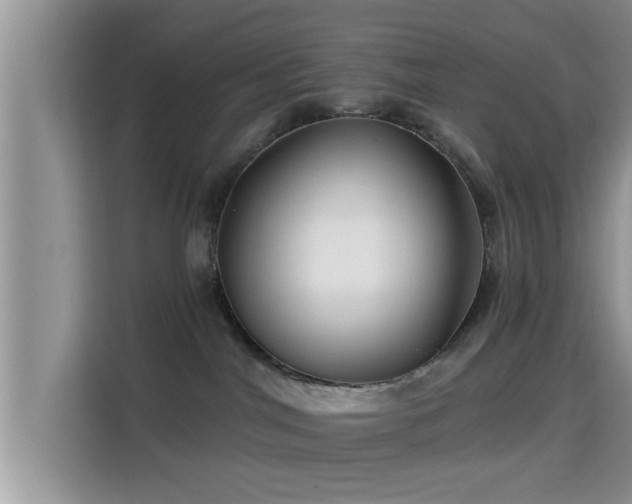 X0000115290044200911091001