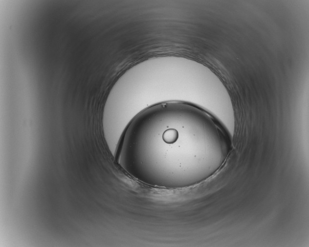 X0000115290045200911091001