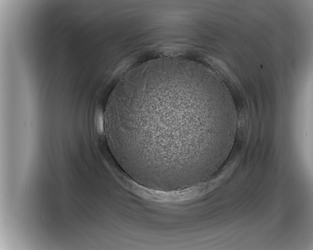 X0000115290046200911091001