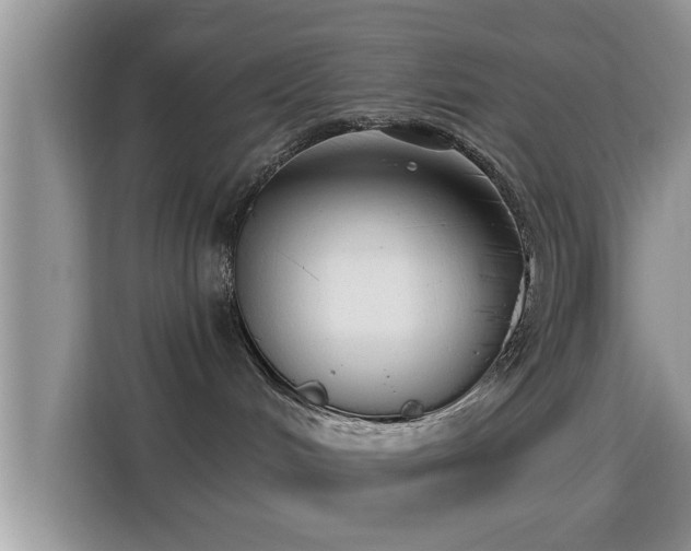 X0000115290048200911091001