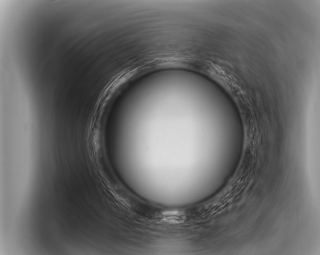X0000115290050200911091000