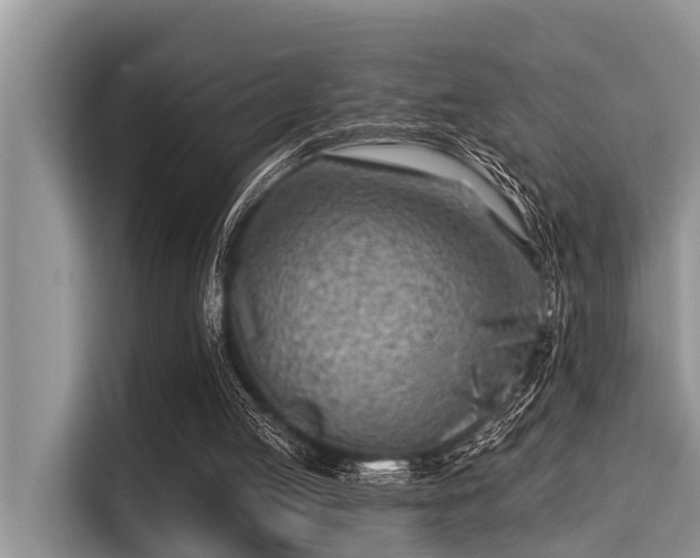 X0000115290053200911091000
