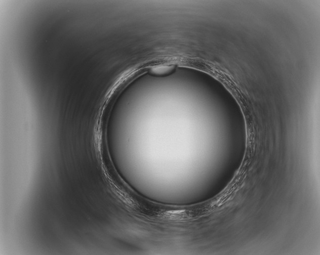 X0000115290054200911091000