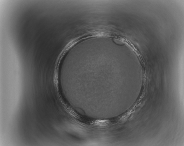 X0000115290055200911091000