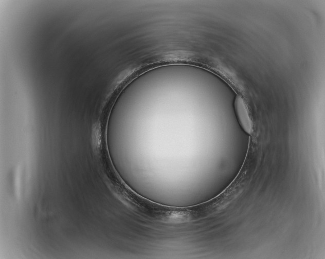X0000115290060200911091000