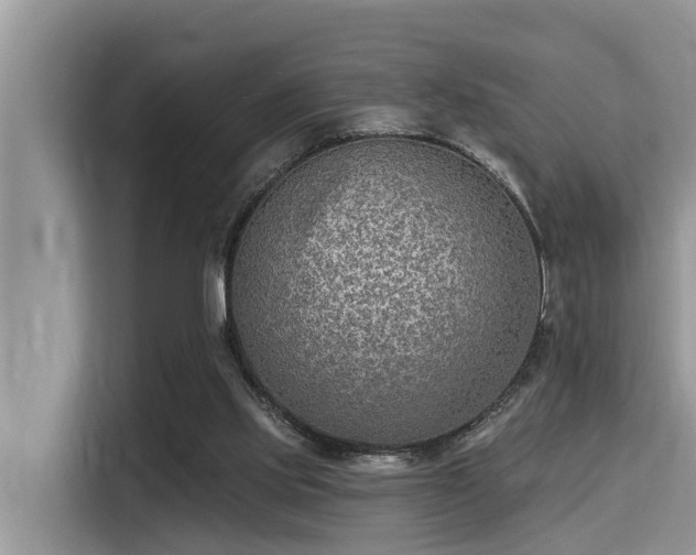 X0000115290061200911091000