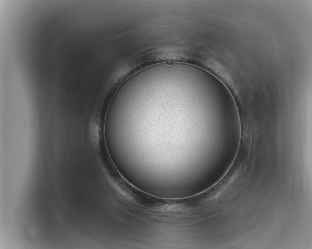 X0000115290063200911091000