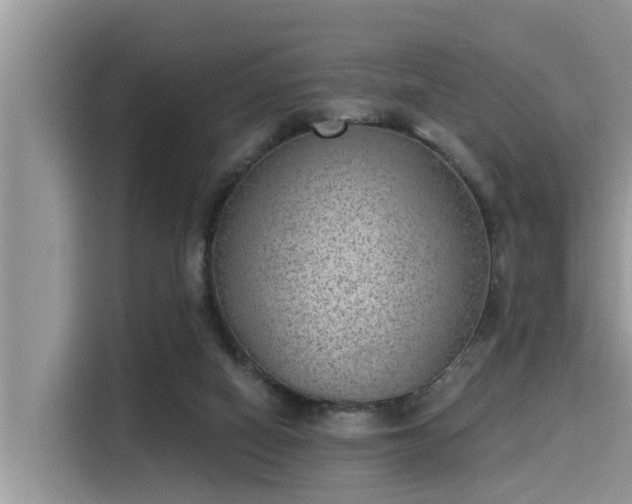 X0000115290066200911091000