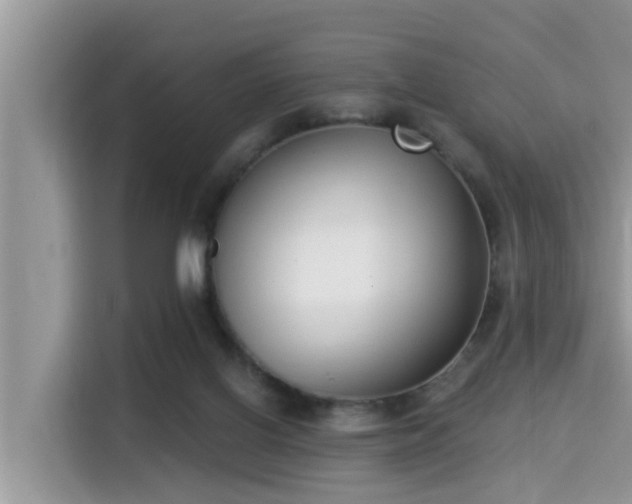 X0000115290070200911091000