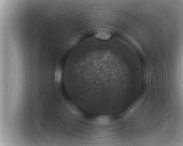 X0000115290076200911091000