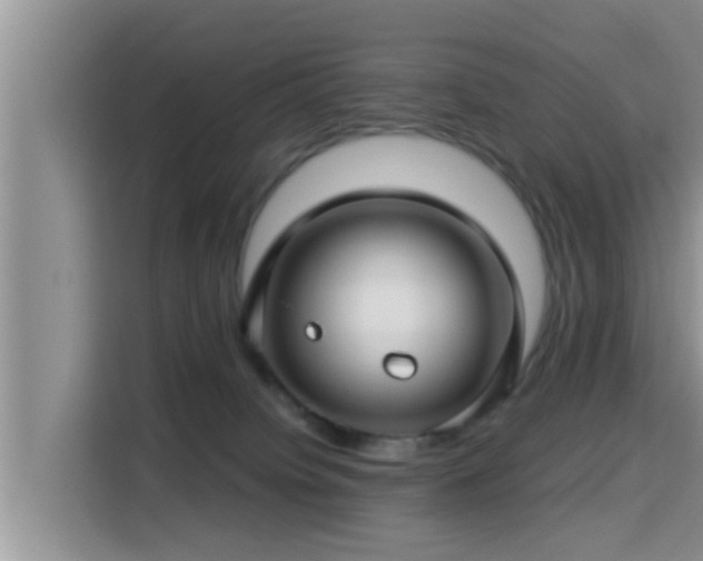 X0000115290084200911091000