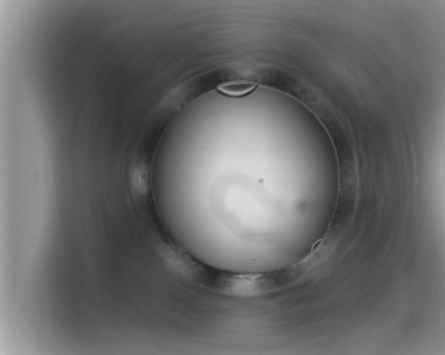 X0000115290090200911091001