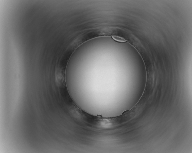 X0000115290091200911091001