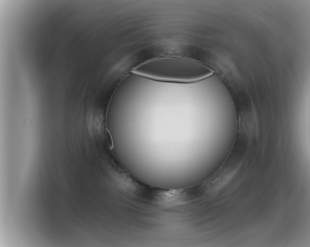X0000115290092200911091001