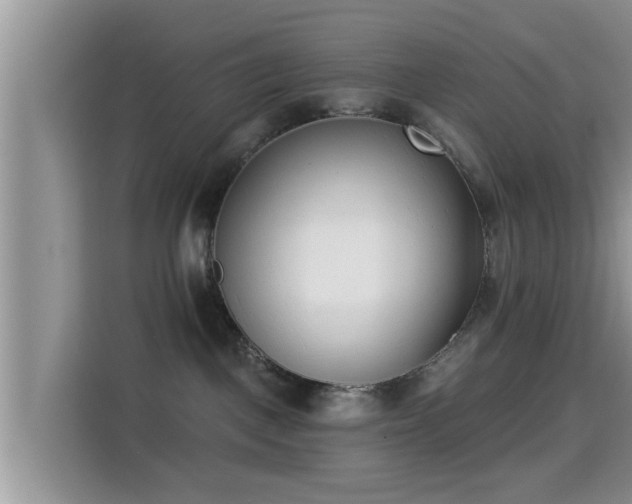 X0000115290093200911091001