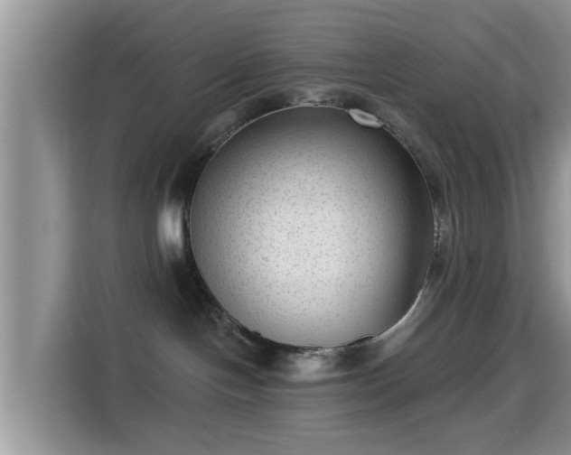 X0000115290094200911091001
