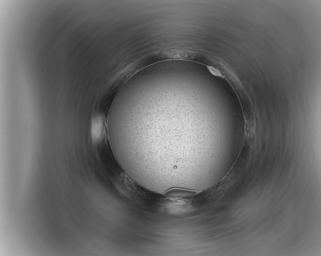 X0000115290095200911091001