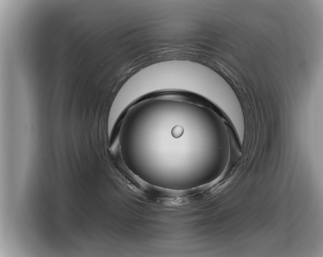 X0000115290096200911091001