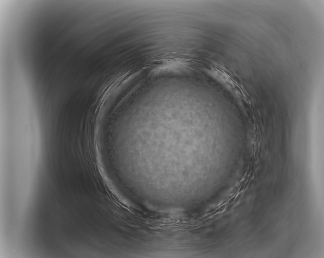 X0000115290097200911091000