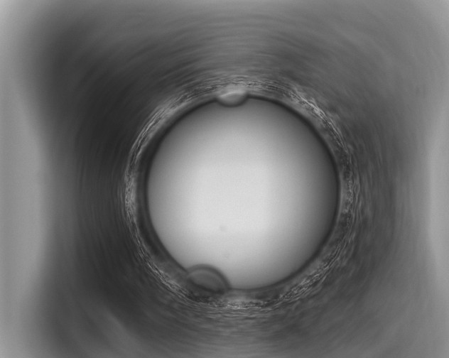 X0000115290098200911091000