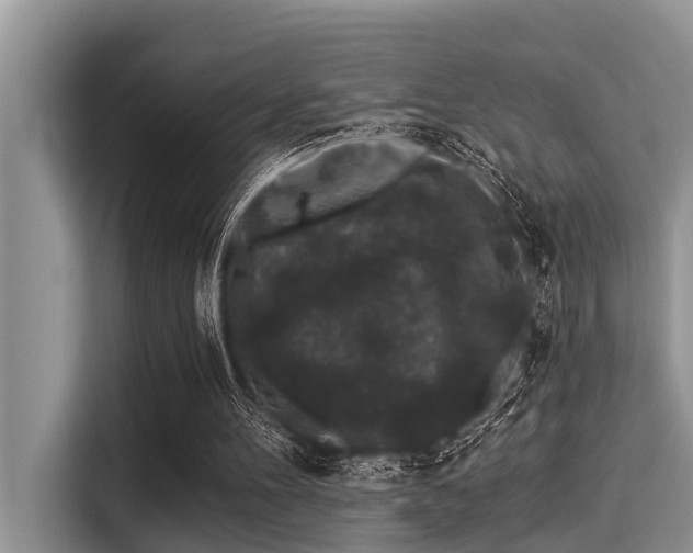 X0000115290100200911091000