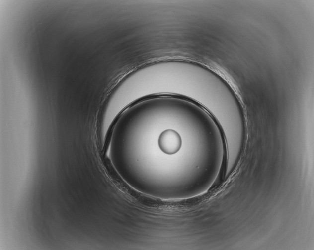 X0000115290105200911091000